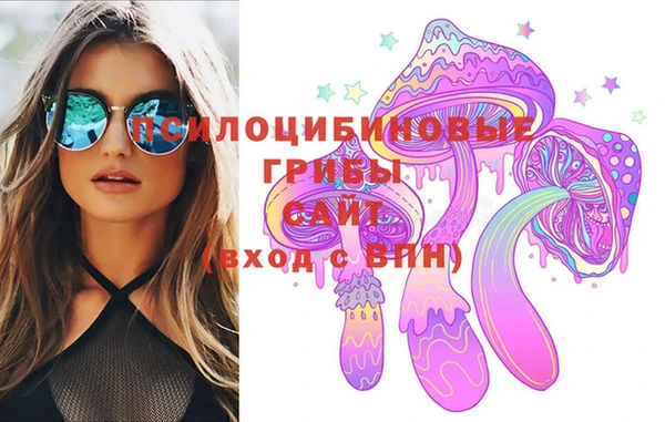 гидропоника Магас
