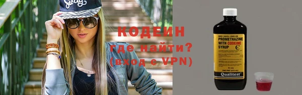 индика Майский