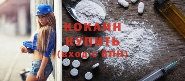индика Майский