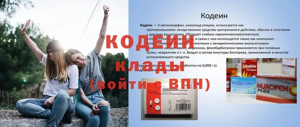 индика Майский