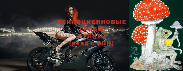 индика Майский