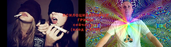 индика Майский