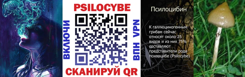 Псилоцибиновые грибы Cubensis  Малоярославец 