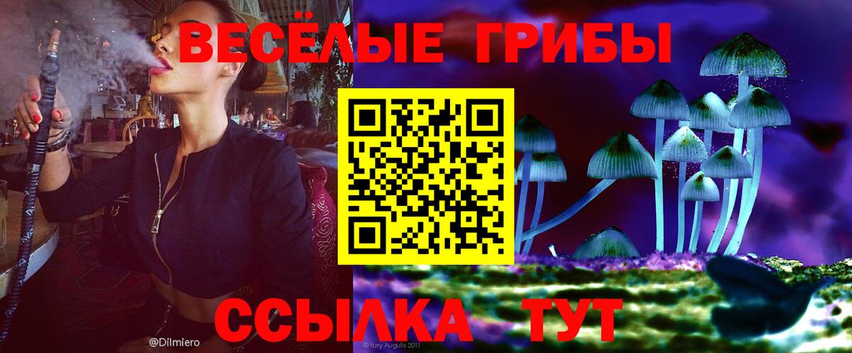 где продают наркотики  Галлюциногенные грибы мухоморы  Вход с VPN  Малоярославец  Псилоцибиновые грибы MAGIC MUSHROOMS 